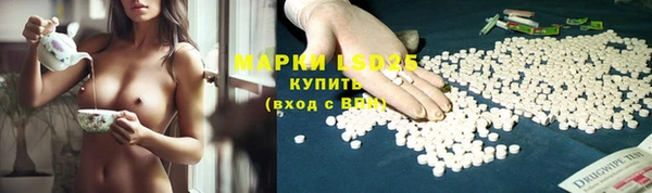 apvp Алзамай