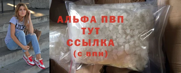 apvp Алзамай
