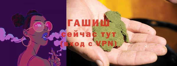 apvp Алзамай