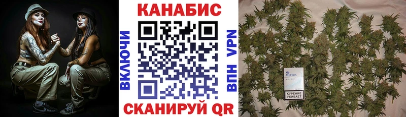 Бошки марихуана планчик  MEGA ссылка  Порхов 